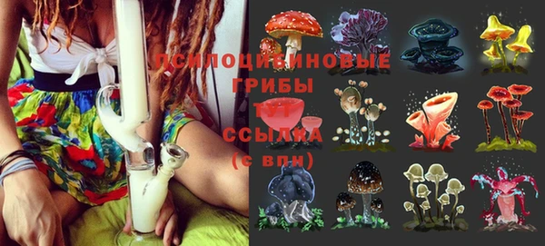 прущие грибы Белоозёрский