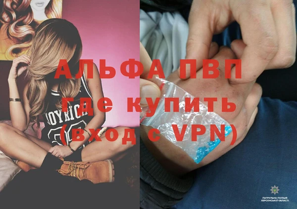 прущие грибы Белоозёрский