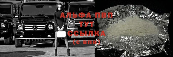 прущие грибы Белоозёрский